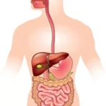 Digestive Disorders